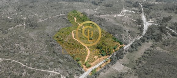 42180m² Land in Salir, Portugal No. 55003 14