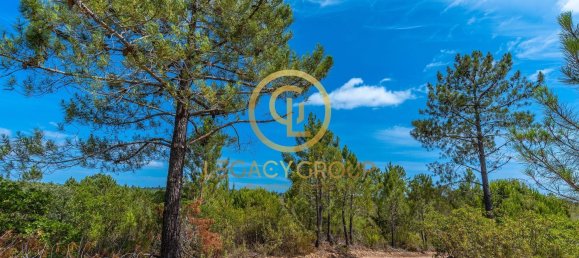 42180m² Land in Salir, Portugal No. 55003 4