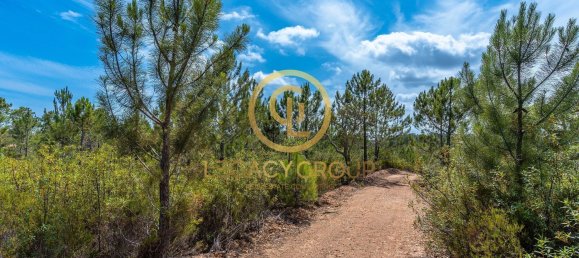 42180m² Land in Salir, Portugal No. 55003 3