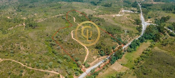 42180m² Land in Salir, Portugal No. 55003 6