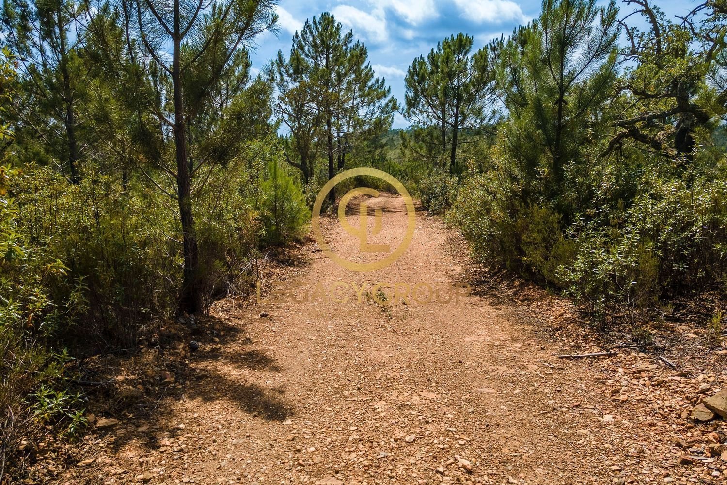 42180m² Land in Salir, Portugal No. 55003