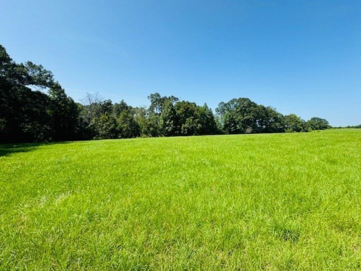 5 bedrooms House in McComb, USA No. 406919