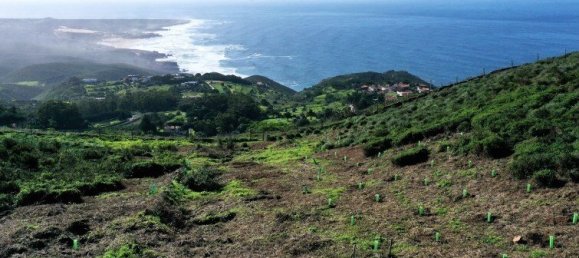 4 Schlafzimmer Haus in Cascais, Portugal, Nr. 124251 17