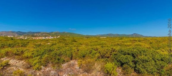 4 Schlafzimmer Haus in Cascais, Portugal, Nr. 124251 19