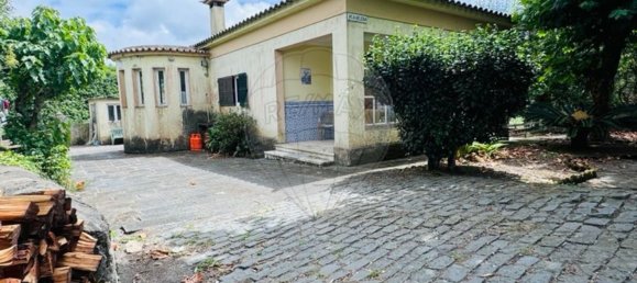 3 Schlafzimmer Haus in Rabo de Peixe, Portugal, Nr. 35077 7