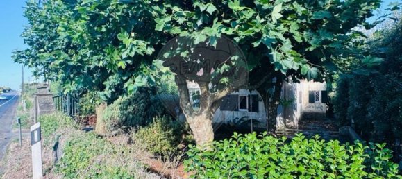 3 Schlafzimmer Haus in Rabo de Peixe, Portugal, Nr. 35077 4