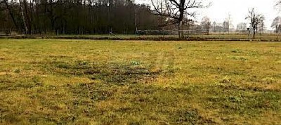  قطعة أرض في Wittenberg, Germany 3330متر مربع رقم 351653 5