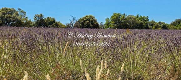 4 bedrooms House in Riez, France No. 344857 18