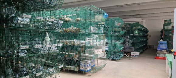  مستودع في Olbia, Italy 1383متر مربع رقم 81596 13