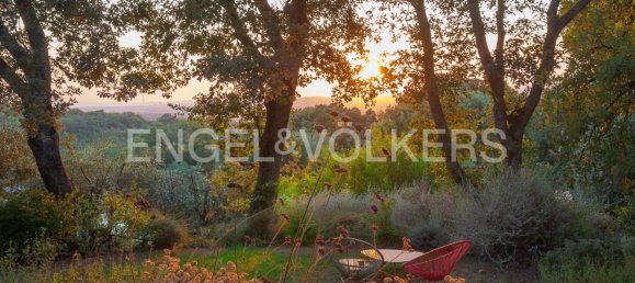 11 bedrooms Villa in Scarlino, Italy No. 131326 28