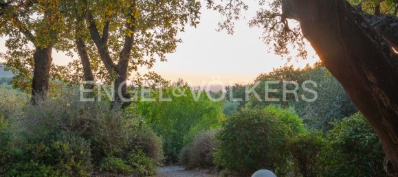 11 bedrooms Villa in Scarlino, Italy No. 131326 29