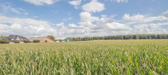 3 bedrooms House in Korschenbroich, Germany No. 335737 8