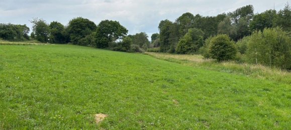 10 rooms Farm in Rhein-Hunsruck, Germany No. 241902 10