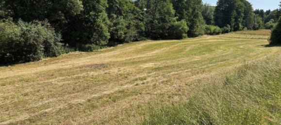 10 rooms Farm in Rhein-Hunsruck, Germany No. 241902 11