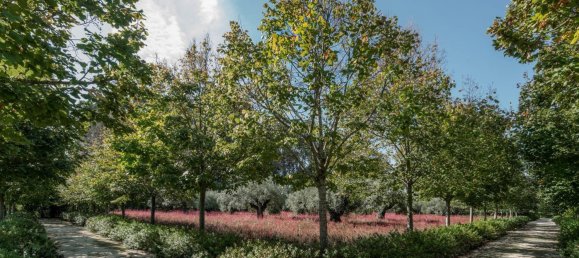 6 chambres Maison à Cadima, Portugal No. 112343 4