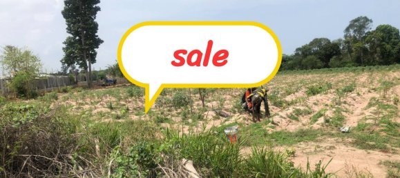  Commercial property in Pattaya, Thailand No. 8011 2