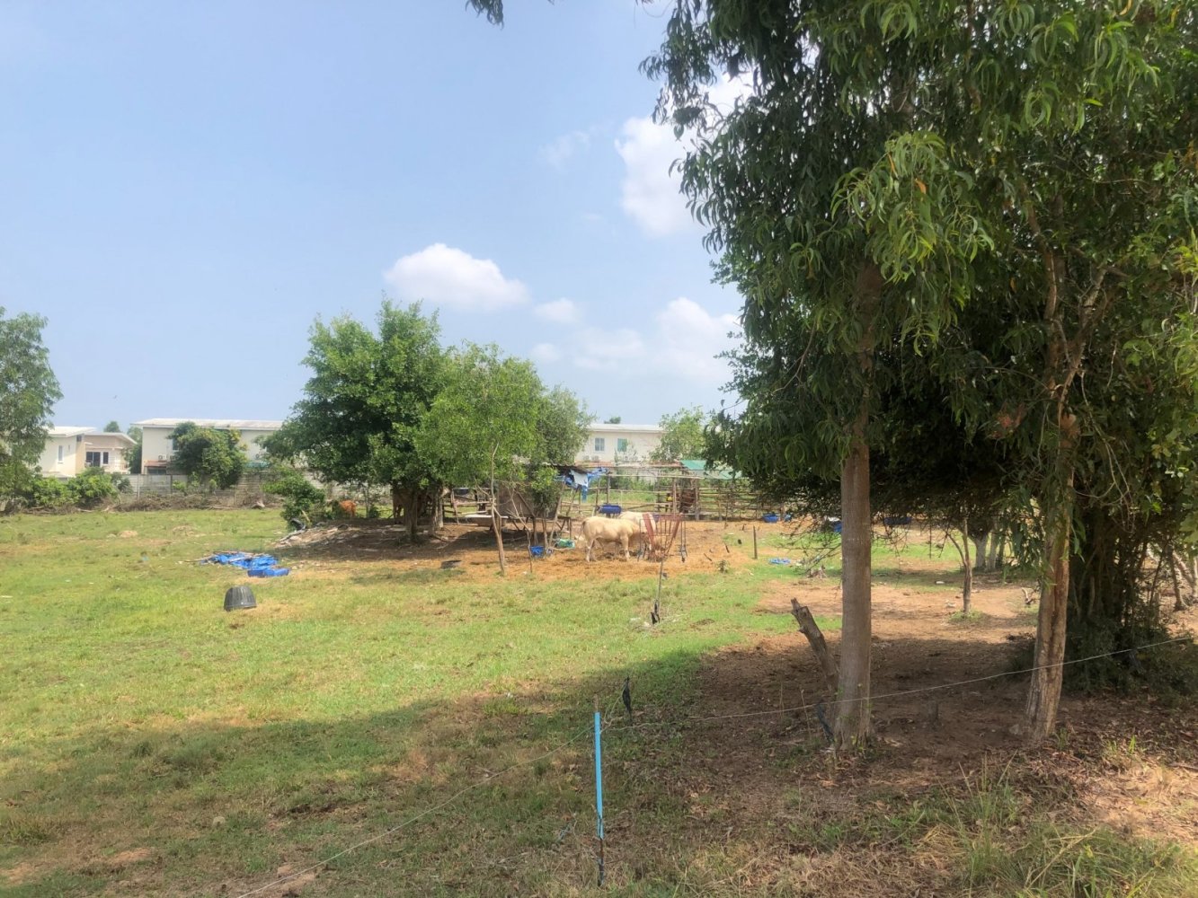  Commercial property in Pattaya, Thailand No. 8011