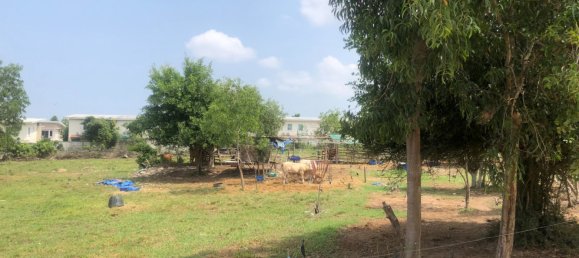  Commercial property in Pattaya, Thailand No. 8011 5