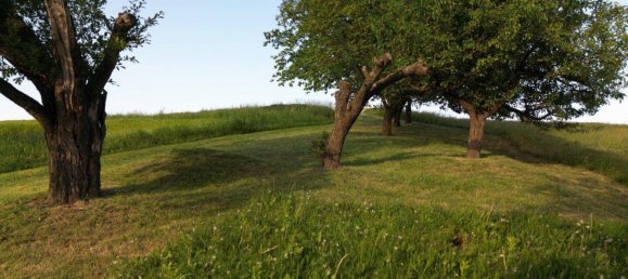 6غرفة منزل في Pischelsdorf am Kulm, Austria رقم 241098 10