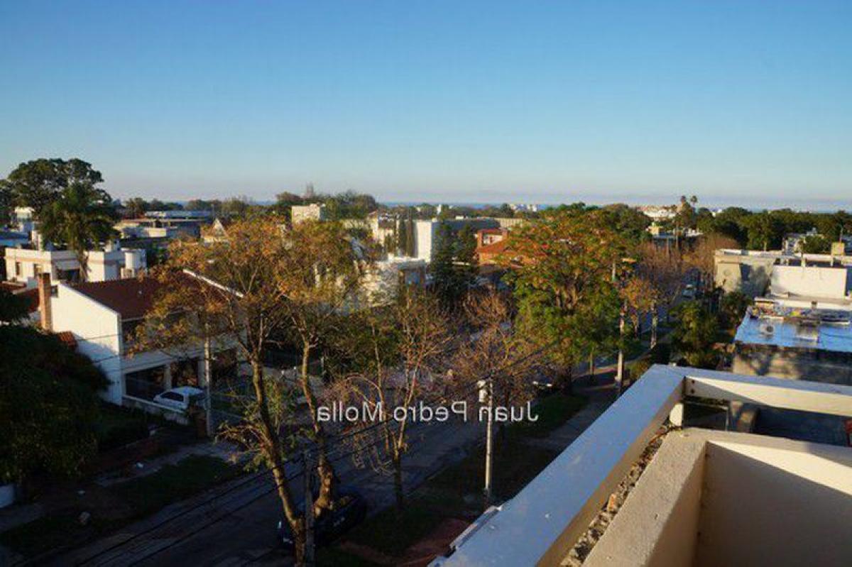 Квартира с 3 спальнями в Монтевидео, Уругвай № 6949