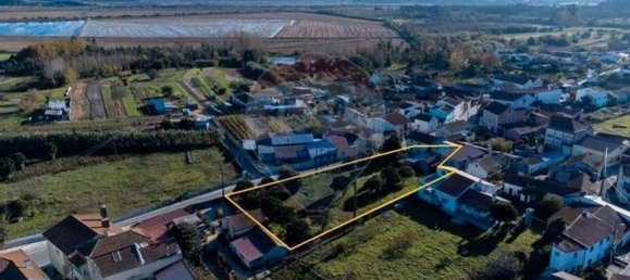 3 Schlafzimmer Haus in Maiorca, Portugal, Nr. 34604 16