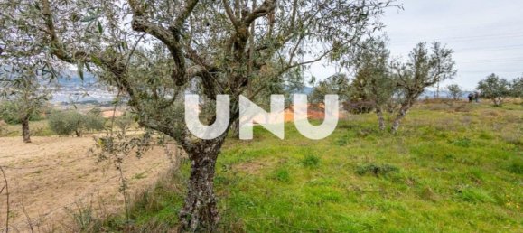 Grundstück in Ferro, Portugal 15500m², Nr. 77013 11