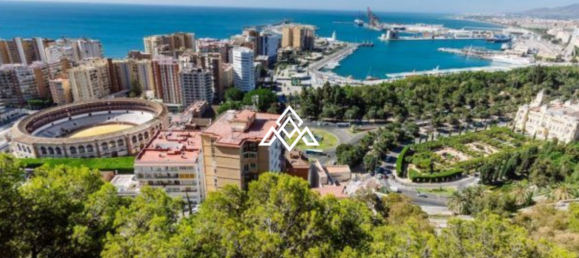 4 bedrooms Apartment in Malaga, Spain No. 219201 18