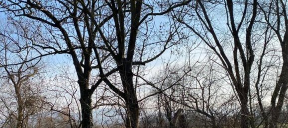 Studio à Forchheim, Germany No. 143687 3