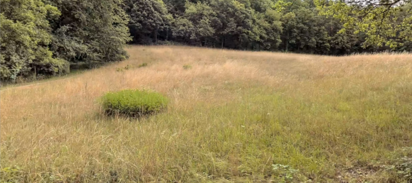  Land in Marburg-Biedenkopf, Germany No. 144951 3