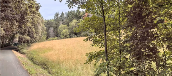  Land in Marburg-Biedenkopf, Germany No. 144951 7