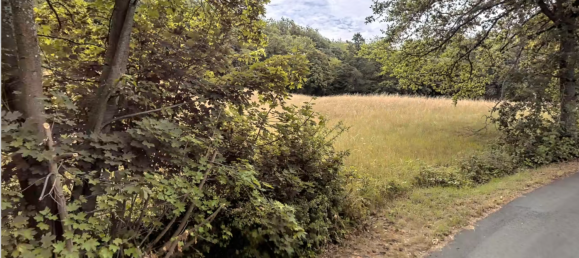 Land in Marburg-Biedenkopf, Germany No. 144951 2