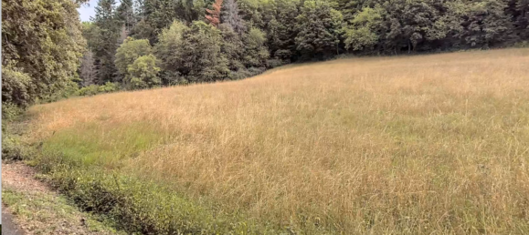  Land in Marburg-Biedenkopf, Germany No. 144951 6