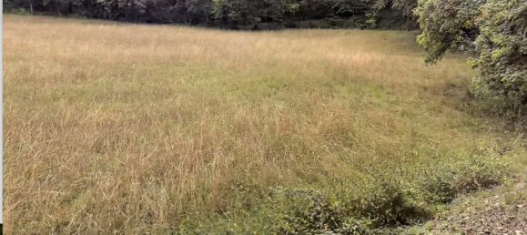  Land in Marburg-Biedenkopf, Germany No. 144951 5