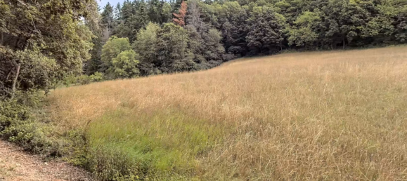  Land in Marburg-Biedenkopf, Germany No. 144951 4