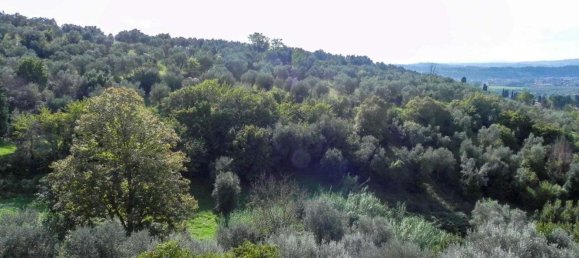 12 bedrooms Villa in Florence, Italy No. 372456 10