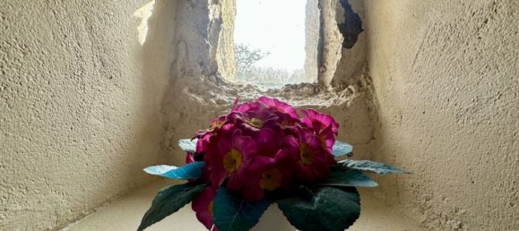 Дом с 5 комнатами в Плугрескан, Франция № 202089 16