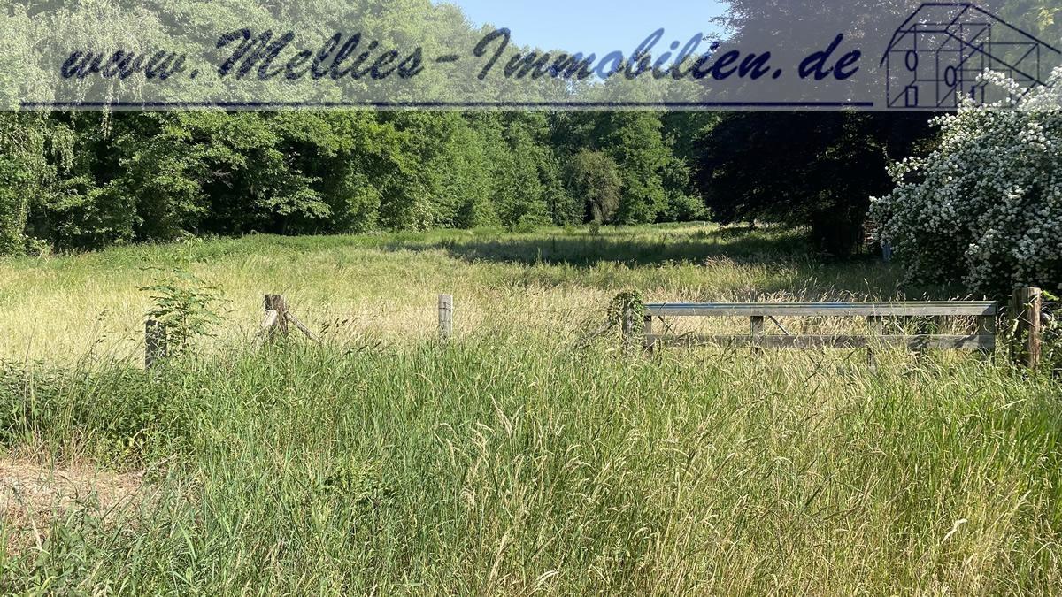  Land in Luchow-Dannenberg, Germany No. 165748