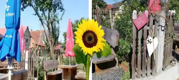 Café/restaurante de 8 habitaciónes en Rhon-Grabfeld, Germany No. 224682 5