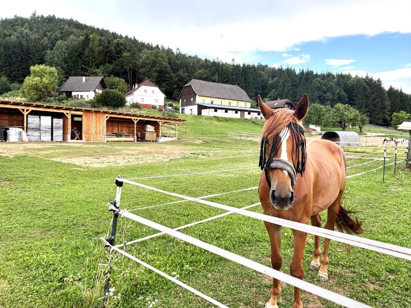 Terrain à Volkermarkt, Austria 1777m² No. 253395