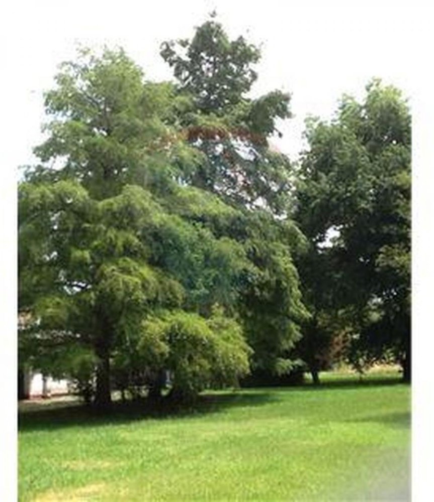 2 غرف نوم قطعة أرض في Ezeiza, Argentina رقم 33244