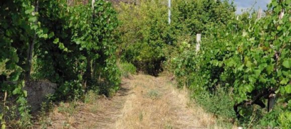  Land in Sarno, Italy No. 311046 4