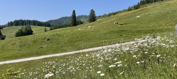 7 rooms House in Strobl, Austria No. 144378 2