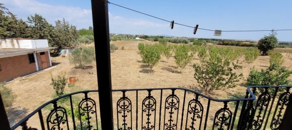 3 bedrooms Commercial property in Epanomi, Greece No. 1966 28