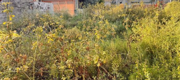 700m² Land in Belpasso, Italy No. 298301 5