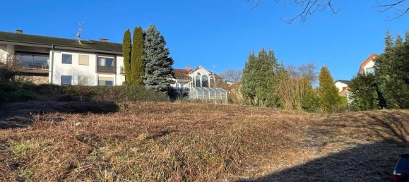  Land in Odenwaldkreis, Germany No. 41561 4