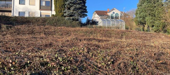  Land in Odenwaldkreis, Germany No. 41561 2