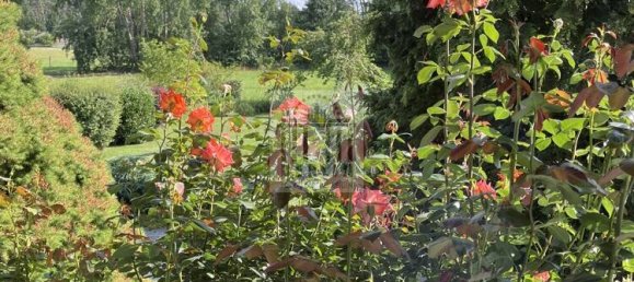Adosado de 6 habitaciónes en Oberspreewald-Lausitz, Germany No. 368114 20