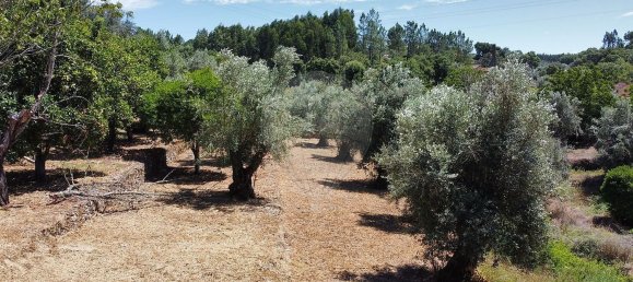 5 bedrooms House in Igreja Nova do Sobral, Portugal No. 17502 16