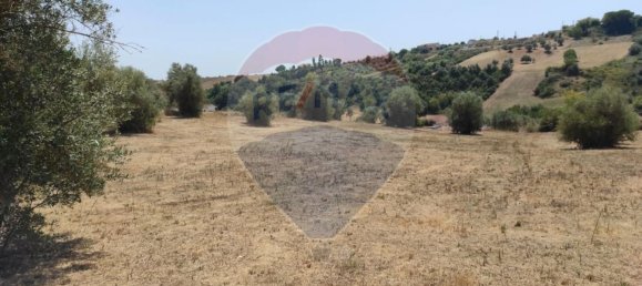 1 Schlafzimmer Haus in Santarem, Portugal, Nr. 30213 3