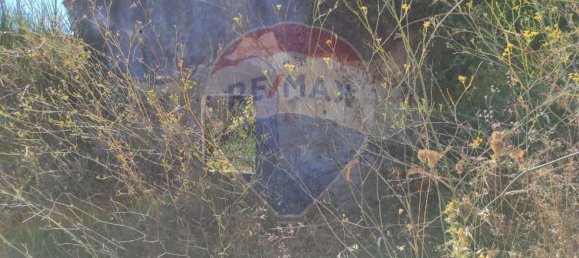 1 Schlafzimmer Haus in Santarem, Portugal, Nr. 30213 4